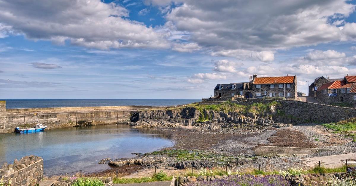Northumberland walk with sea views among UK's best for 2026