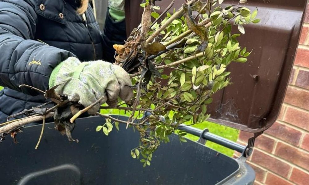 Hartlepool Council confirms details of 2026 brown bin collection