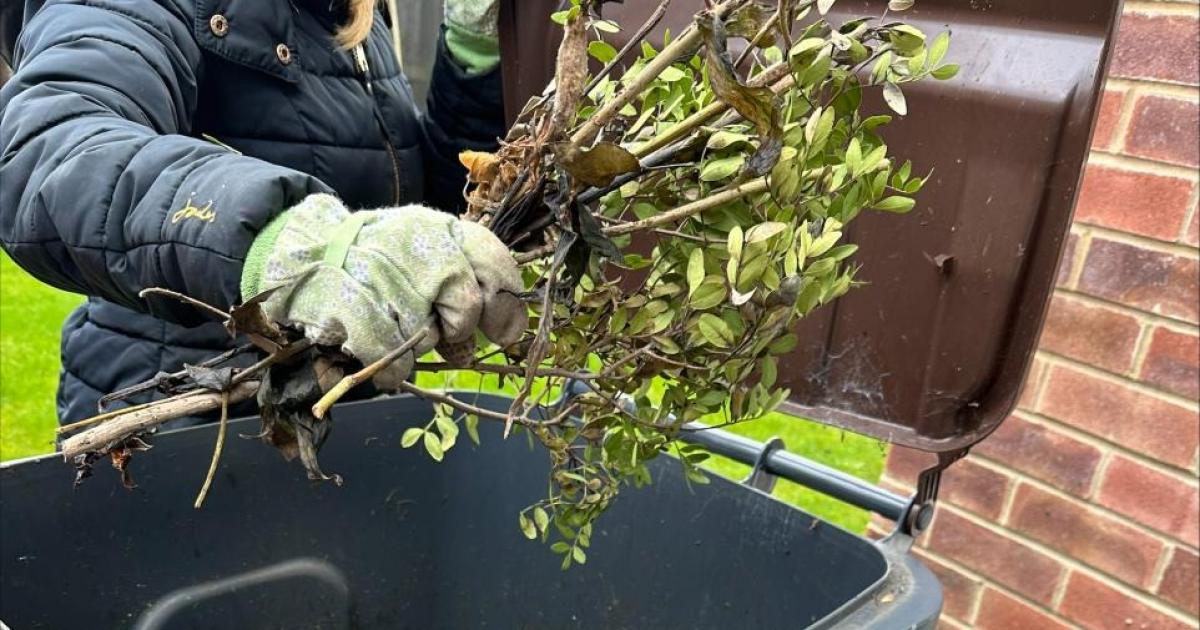 Hartlepool Council confirms details of 2026 brown bin collection