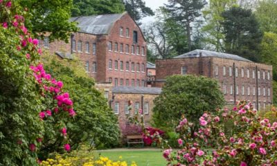 Nine National Trust spring gardens to visit in the North West