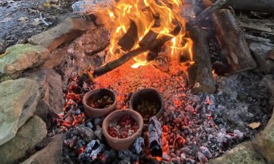 Stone Age families enjoyed 'surprisingly complex' meals