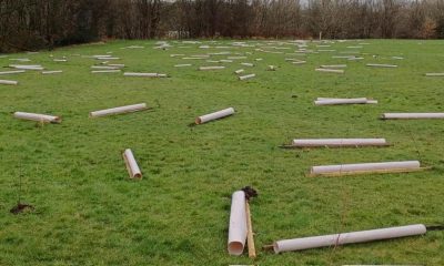 'Shameful' vandalism of saplings condemned by Bolton Council