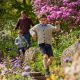 RHS Garden Harlow Carr hosting new Easter egg trail