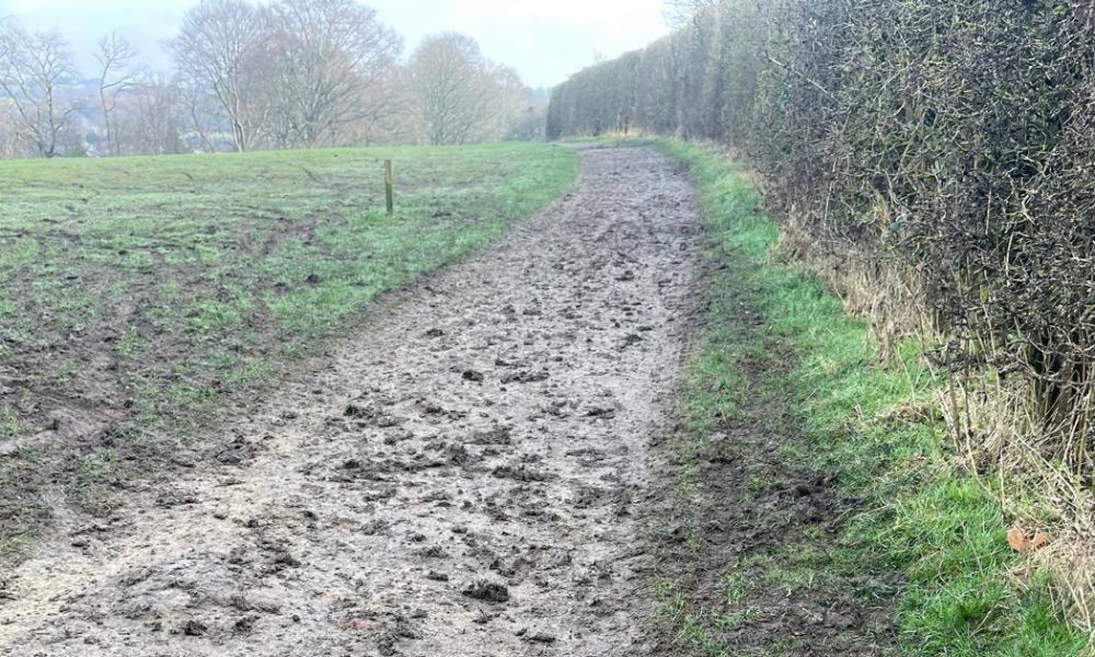 Bolton Council condemns use of quad bikes in Longsight Park