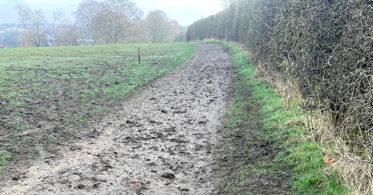 Bolton Council condemns use of quad bikes in Longsight Park