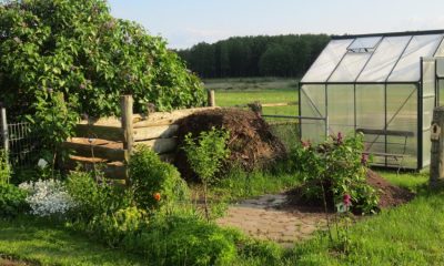 New County Durham allotment rules to allow caravans on plots
