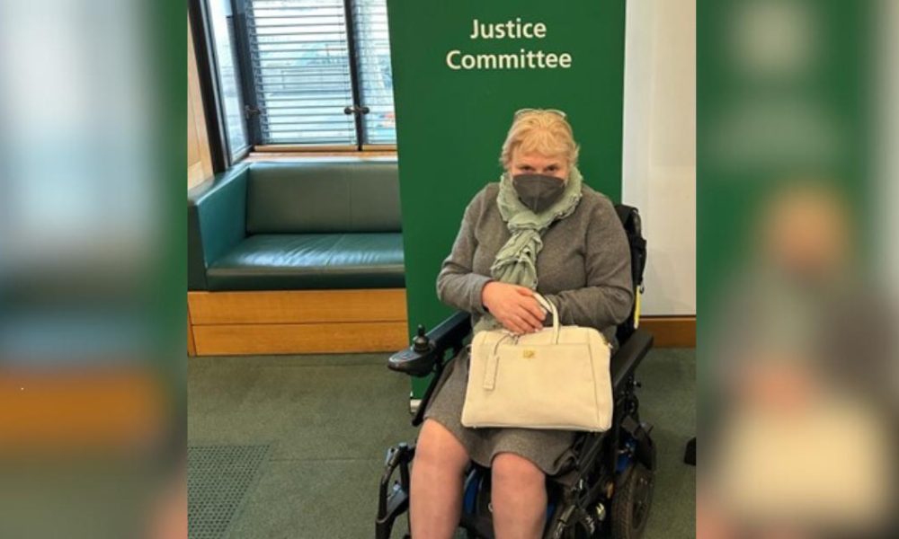 Campaigner Flick Williams gives evidence in Parliament