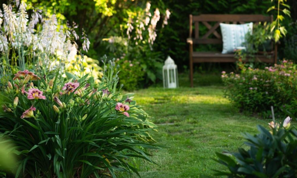 Homeowners urged to add eggshells to gardens for birds