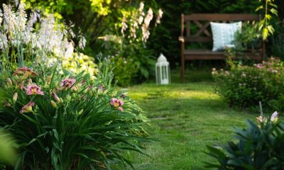 Homeowners urged to add eggshells to gardens for birds