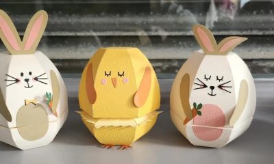 New Redcar project helping young people navigate adulthood