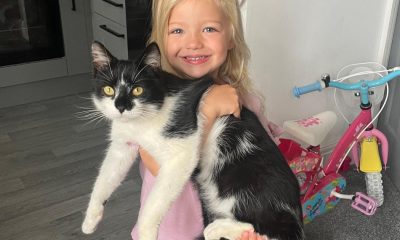 Appeal to find Tonge Moor cat amid 'pets going missing'