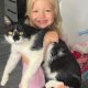 Appeal to find Tonge Moor cat amid 'pets going missing'