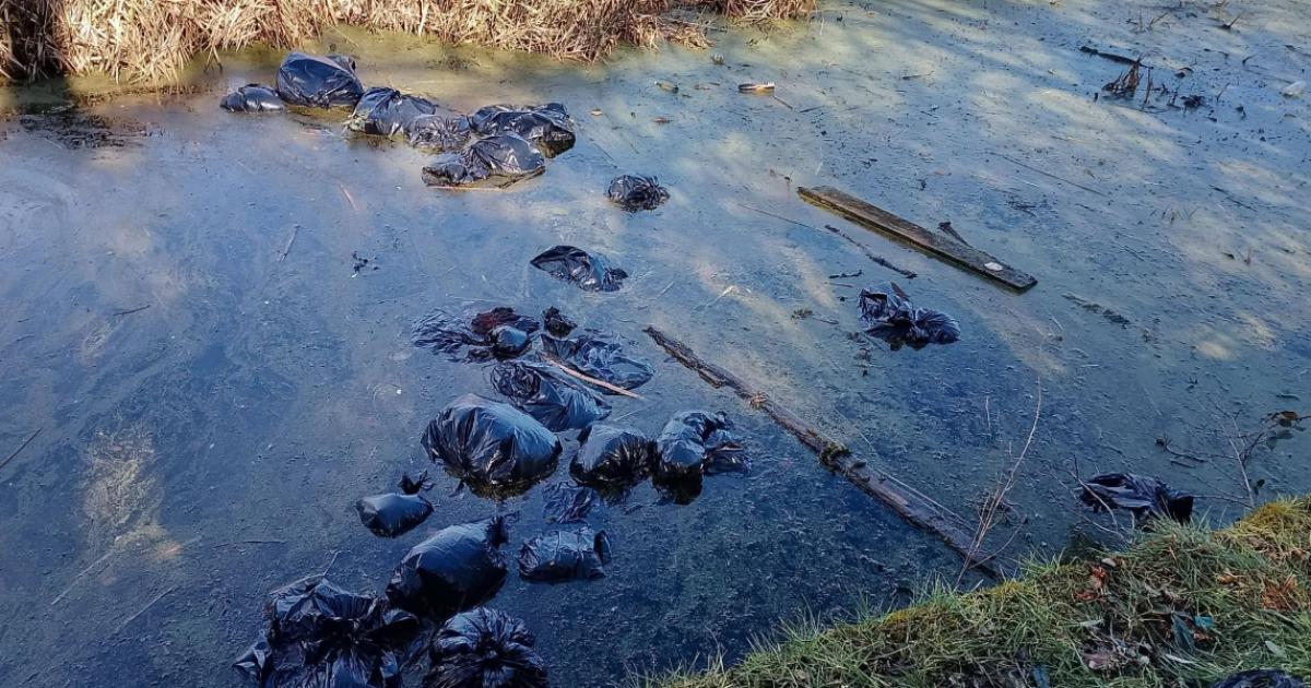 Bags of suspected cannabis dumped in Bolton and Bury canal