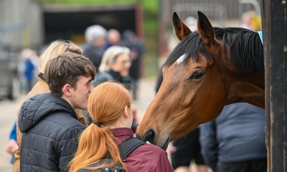 Yorkshire racing stars announced for Middleham Open Day