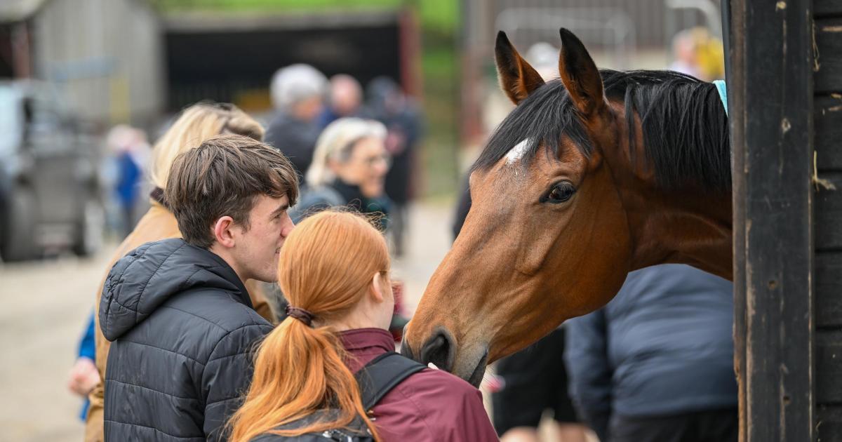 Yorkshire racing stars announced for Middleham Open Day