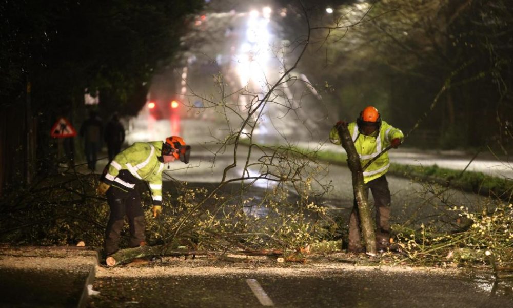 Tree comes crashing down on Moss Bank Way, Astley Bridge