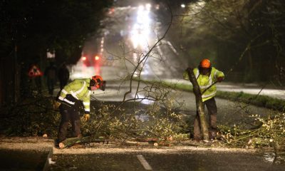 Tree comes crashing down on Moss Bank Way, Astley Bridge