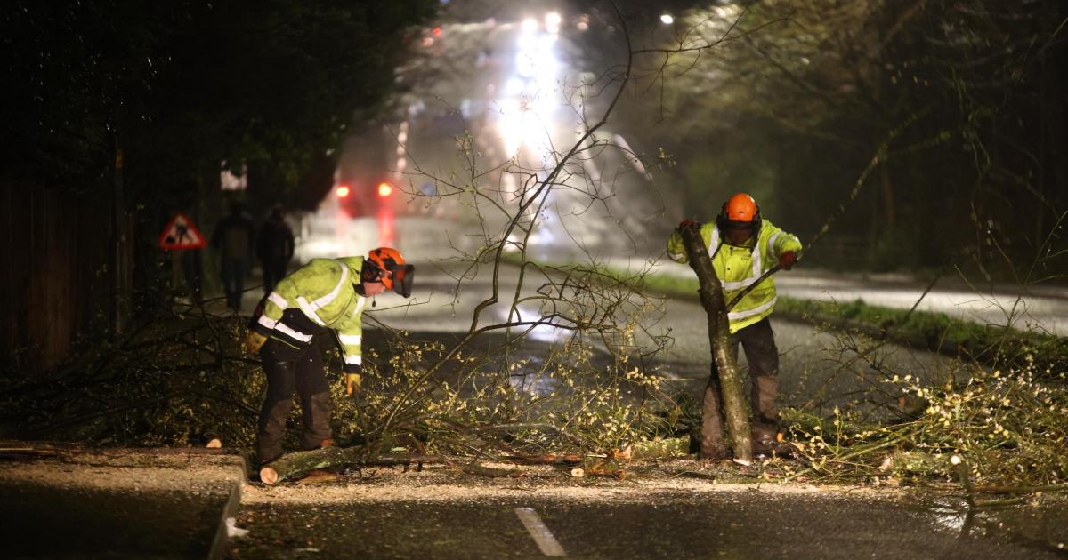 Tree comes crashing down on Moss Bank Way, Astley Bridge
