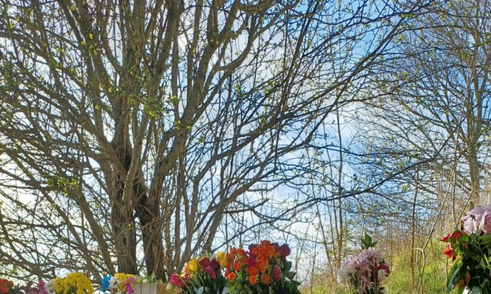 Family of man who died on A64 near York in safety appeal