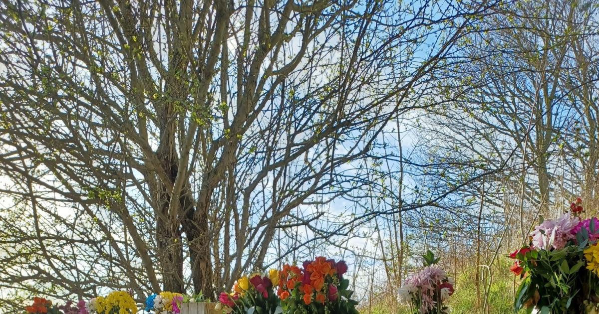 Family of man who died on A64 near York in safety appeal