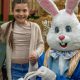 Easter holidays back at Adventure Valley in County Durham