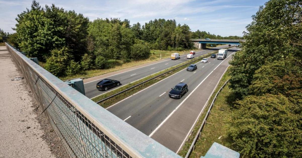 North East traffic, travel and weather live updates