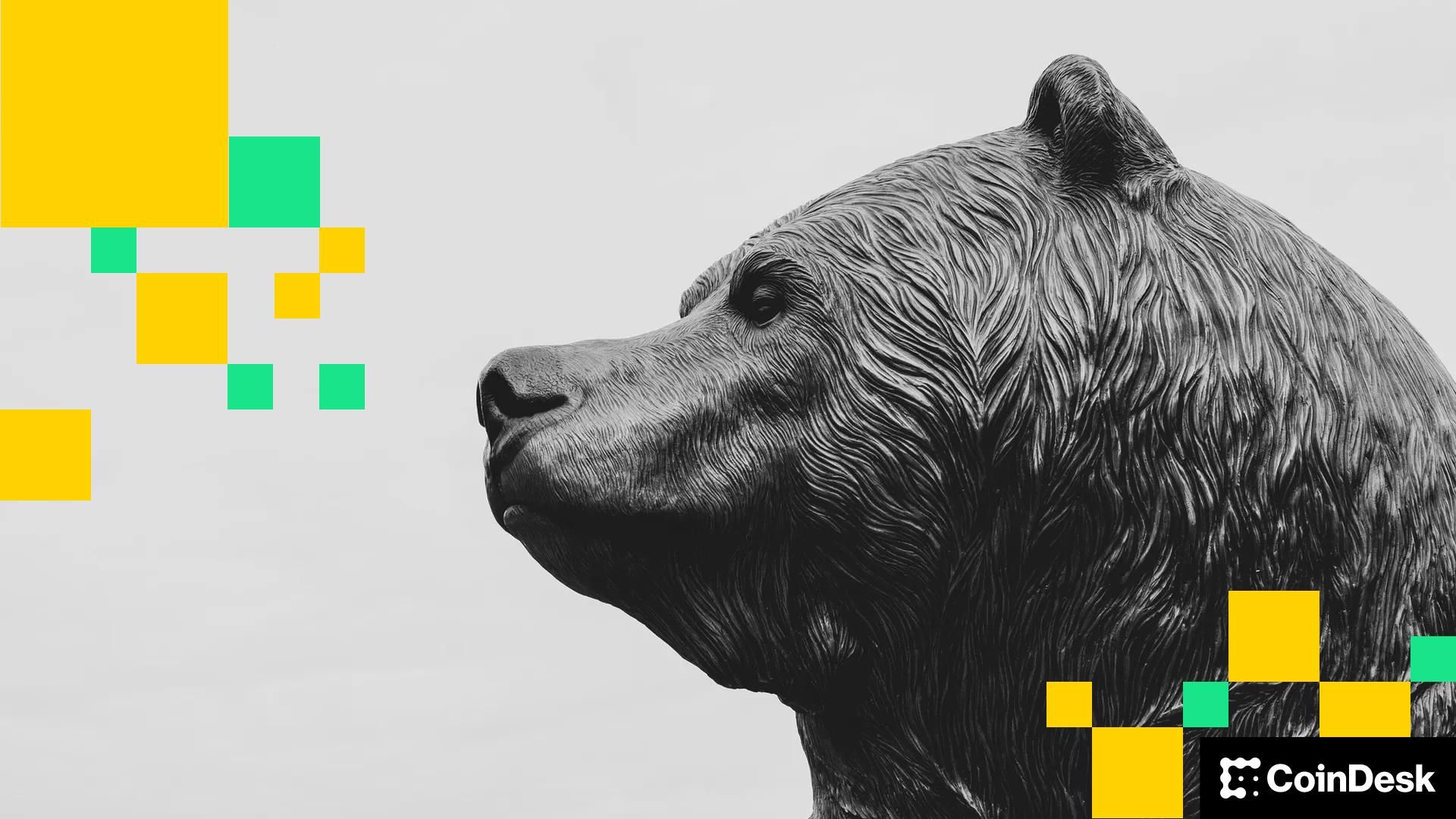 BTC trapped in tight range as growing open interest hints at defensive bets: Crypto Markets Today