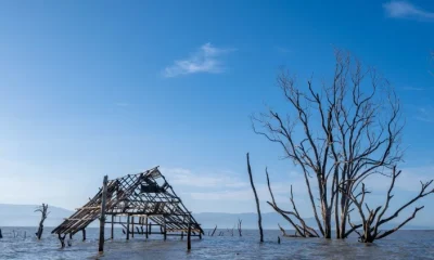 Private investment is vital to effective aid spending