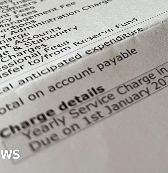 Service charges coming under government scrutiny