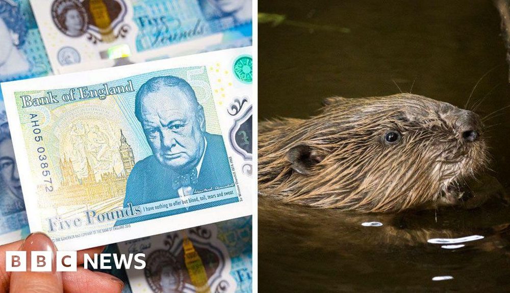 Banknotes, beavers and a very British backlash