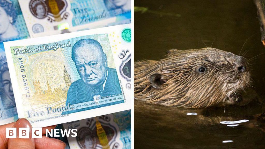 Banknotes, beavers and a very British backlash