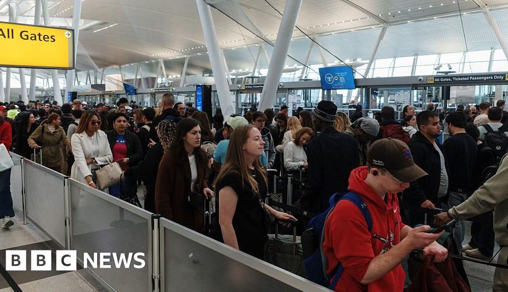 Trump says ICE agents will assist TSA agents with airport security as DHS shutdown continues