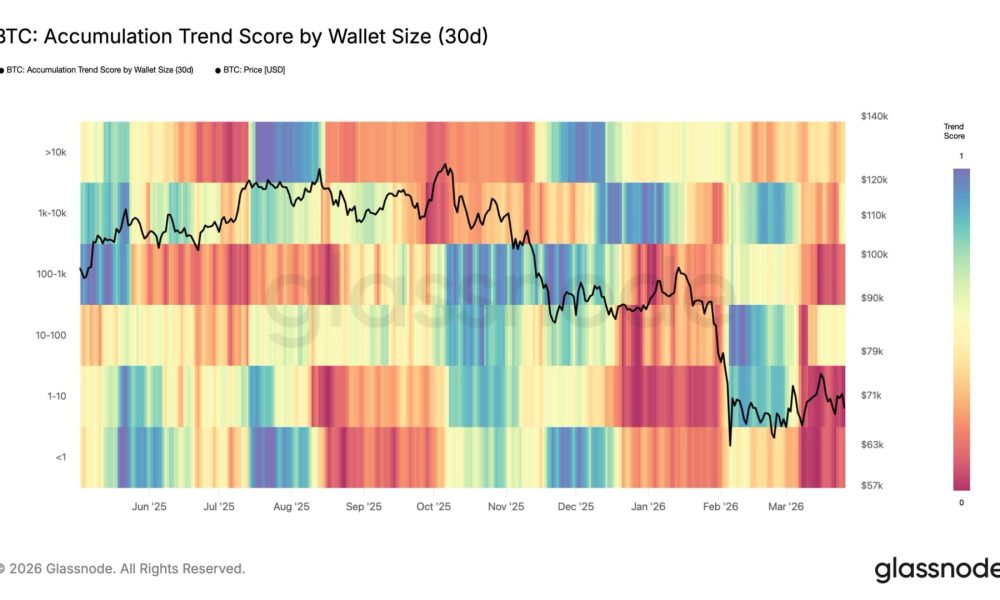 Broad-based BTC selloff intensifies, led primarily by retail holders
