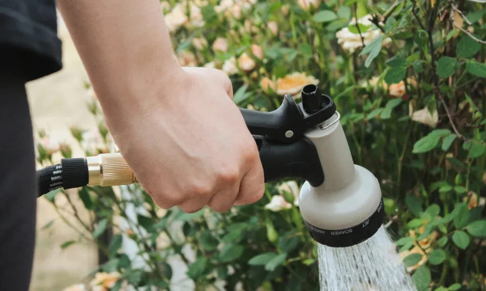 How To Water Every Type Of Plant