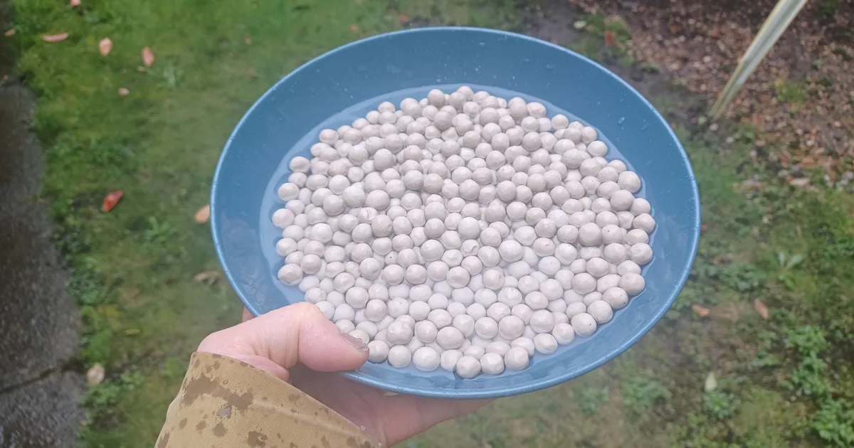 UK Gardeners Asked To Make 'Bee Baths'