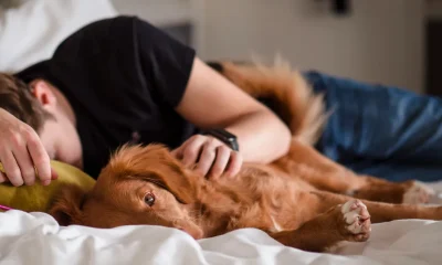 6 Rules For Better Sleep After 60