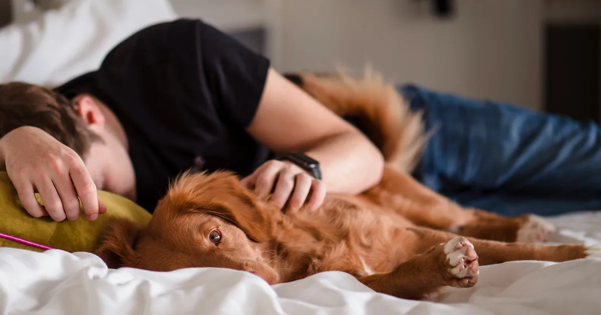 6 Rules For Better Sleep After 60