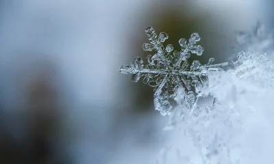 Snow In The UK: Where And When Could It Fall?