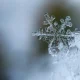 Snow In The UK: Where And When Could It Fall?