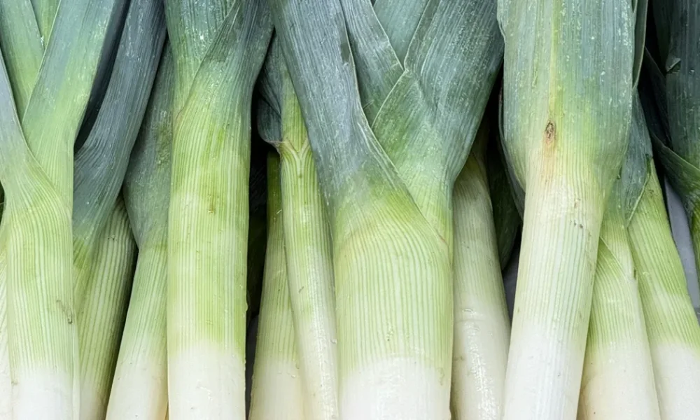 The Best Meal You Can Make With Leeks
