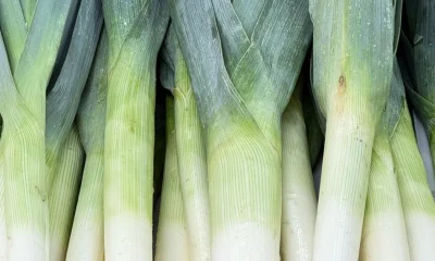 The Best Meal You Can Make With Leeks