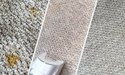 Shark StainForce Review: Removed Curry Stain, Cat Sick And Decades-Old Dirt