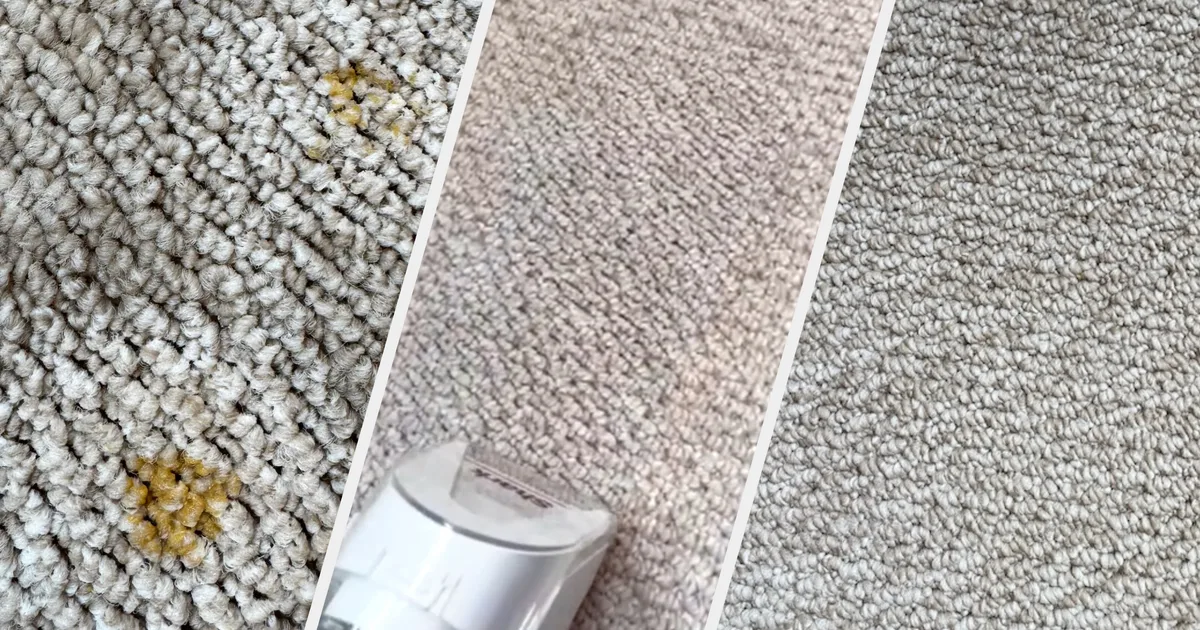 Shark StainForce Review: Removed Curry Stain, Cat Sick And Decades-Old Dirt