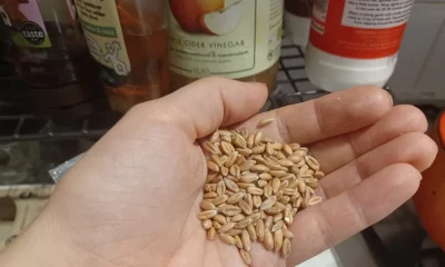 Farro: The Best Ancient Grain For Fibre And Protein