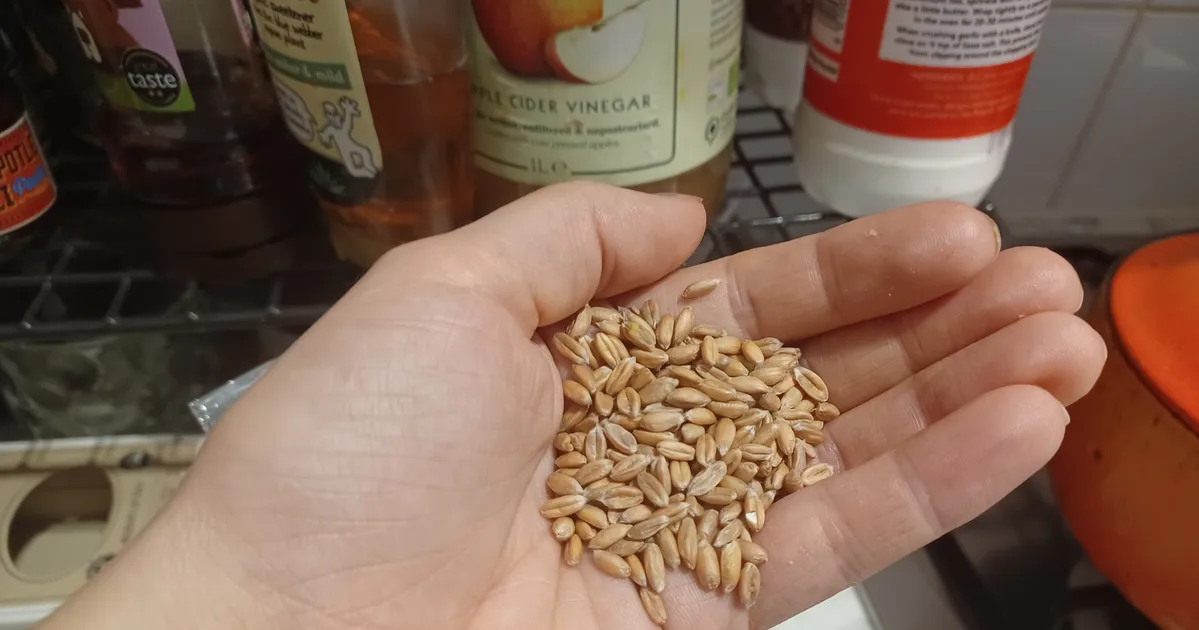 Farro: The Best Ancient Grain For Fibre And Protein