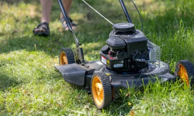 How To Mow Your Lawn: The Ultimate Guide