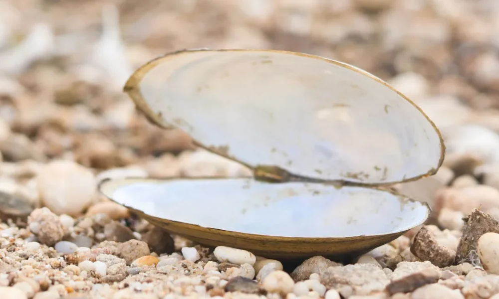 The Best Exercise For Sore Knees And Back