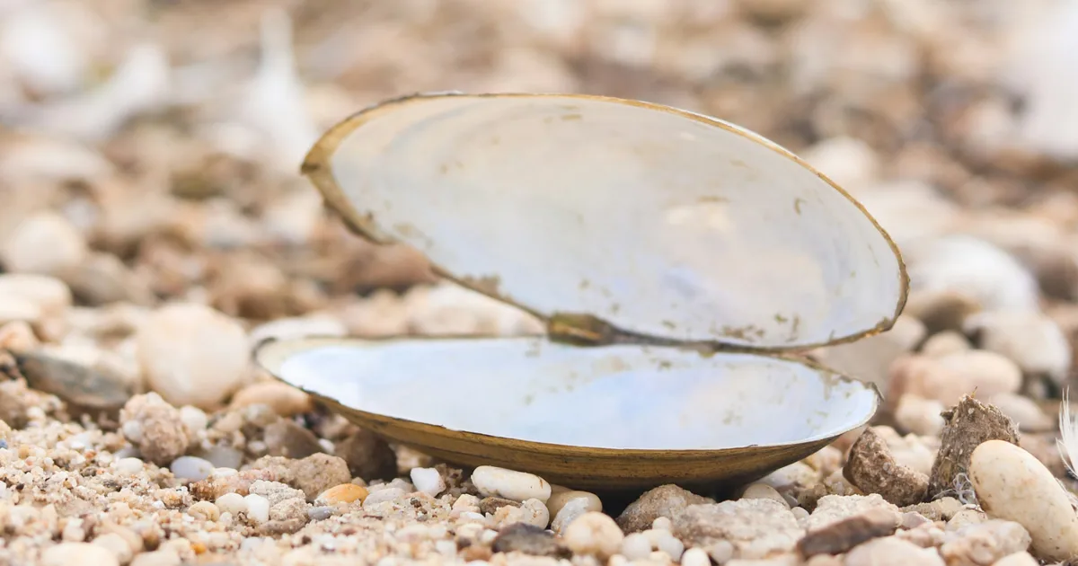 The Best Exercise For Sore Knees And Back