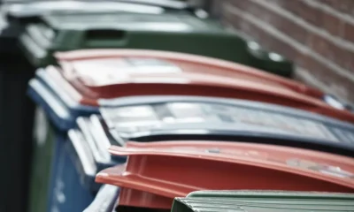 2026 Bin Changes: Rules And Everything You Need To Know