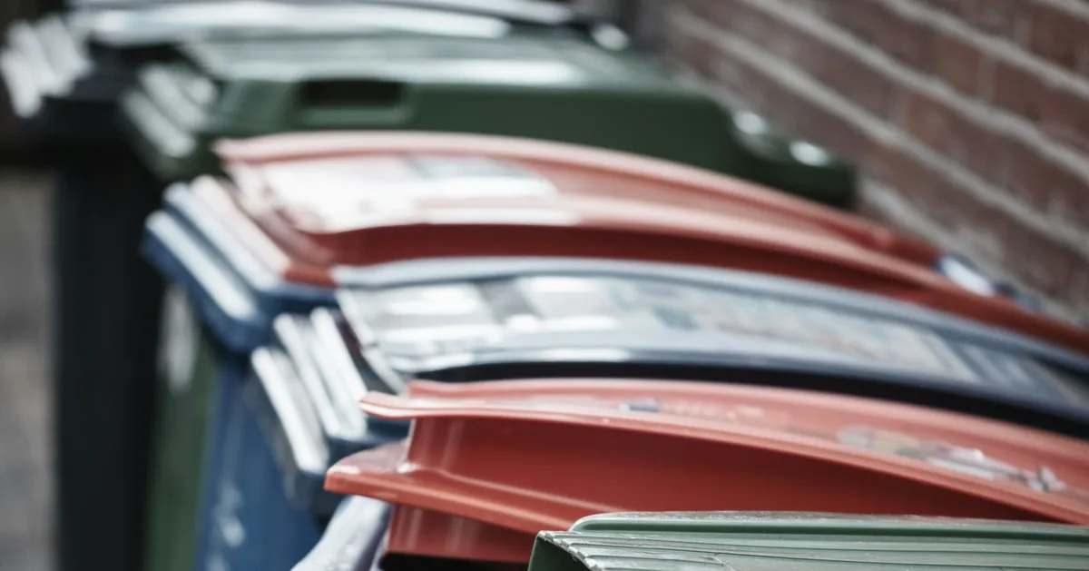 2026 Bin Changes: Rules And Everything You Need To Know